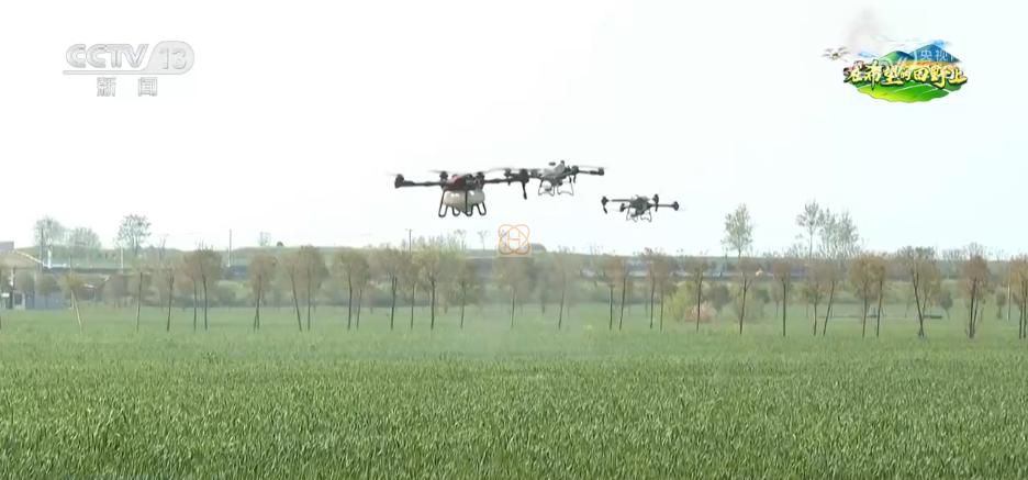 AI模型、“北斗”、物聯(lián)網(wǎng)……智慧農(nóng)業(yè)成為田間地頭新常態(tài)(圖17)
