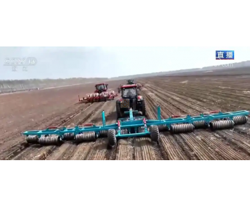 AI模型、“北斗”、物聯(lián)網(wǎng)……智慧農(nóng)業(yè)成為田間地頭新常態(tài)